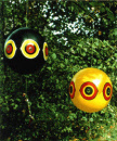 Schrikballon (2 stuks)